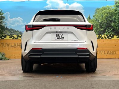 2023 Lexus NX photo 15