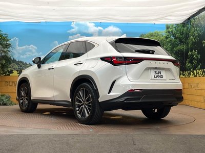 2023 Lexus NX photo 32