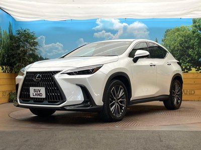 2023 Lexus NX photo 30