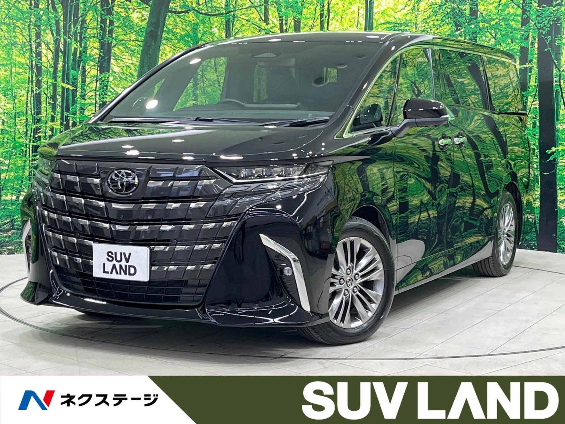 TOYOTA ALPHARD - View 1