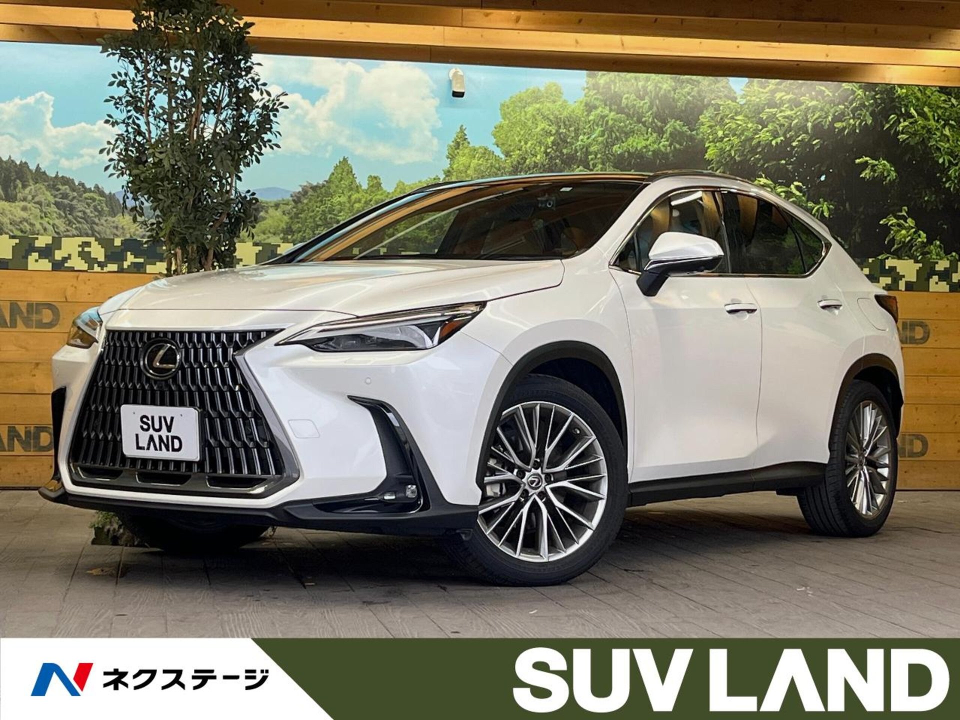 LEXUS NX - View 1