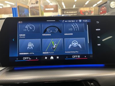 2025 BMW X2 缩略图 44