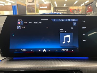 2025 BMW X2 缩略图 38