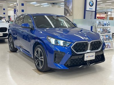 2025 BMW X2 缩略图 62