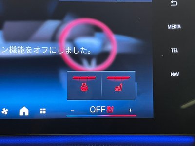 2025 BMW X2 缩略图 36