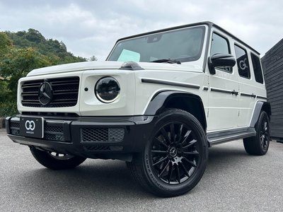 MERCEDES-BENZ G-CLASS - 1