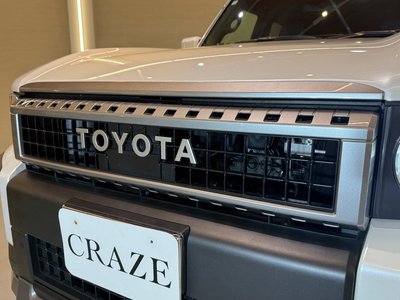 TOYOTA LAND CRUISER 250 - 8