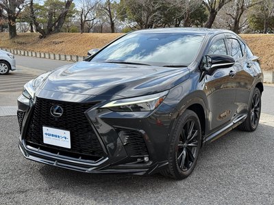 LEXUS NX - 6