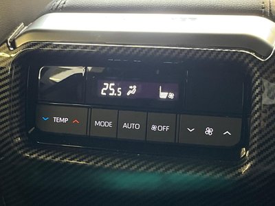 2025 Toyota LAND CRUISER 250 缩略图 30