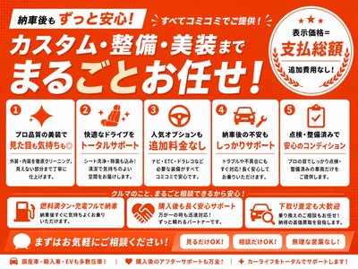 2024 Toyota ALPHARD 照片 4