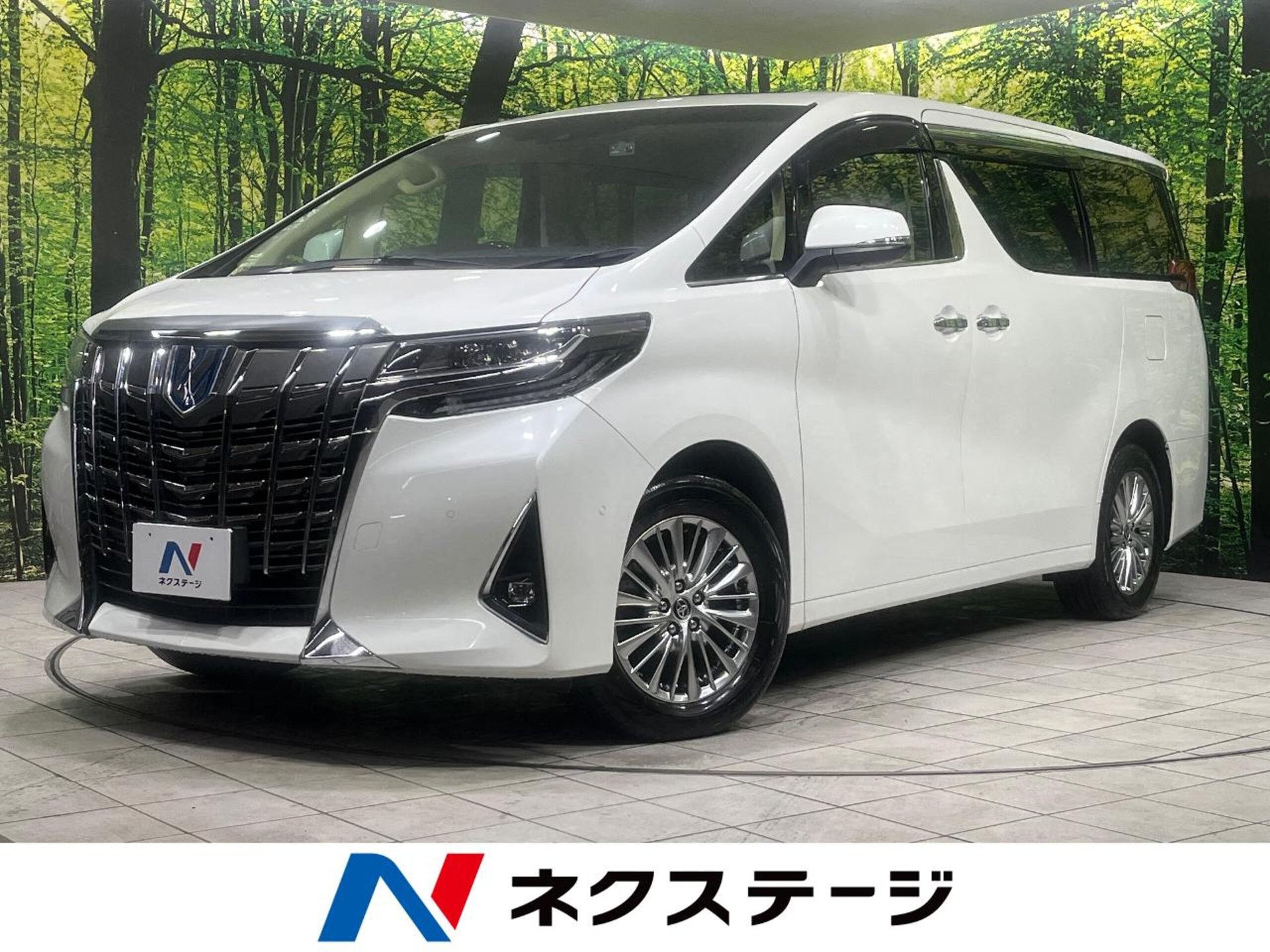 TOYOTA ALPHARD - View 1