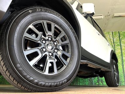 2025 Toyota LAND CRUISER 250 photo 9
