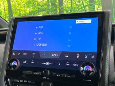 2023 TOYOTA ALPHARD — миниатюра 53