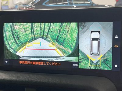 TOYOTA LAND CRUISER 250 - 5