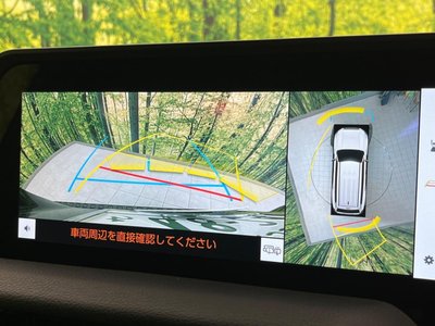 TOYOTA LAND CRUISER 250 - 4