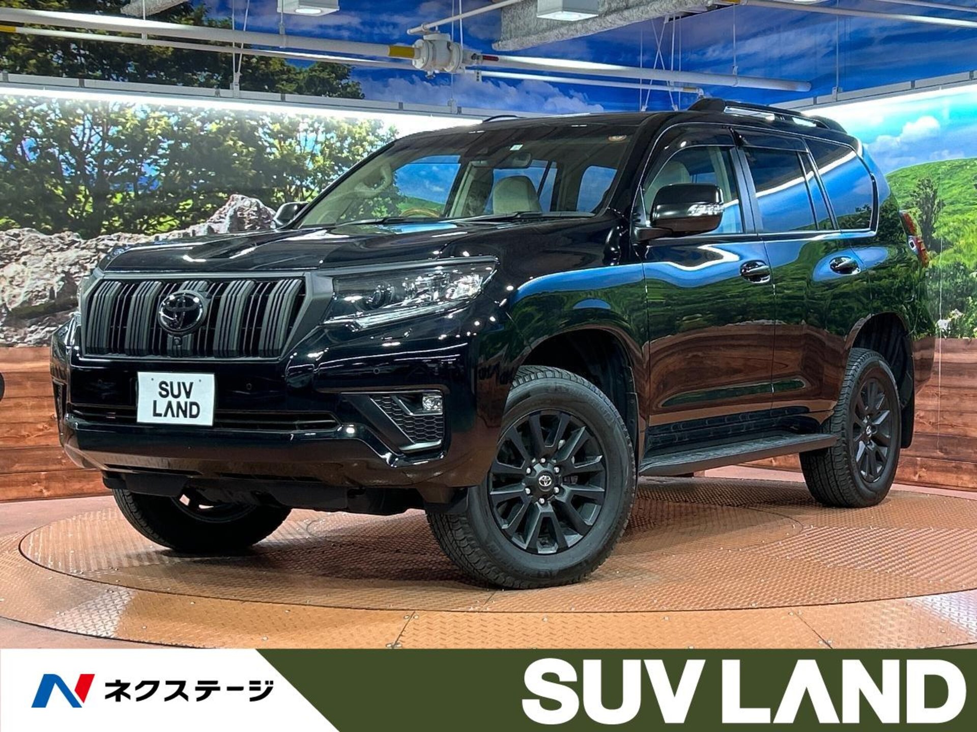 TOYOTA LAND CRUISER PRADO - View 1