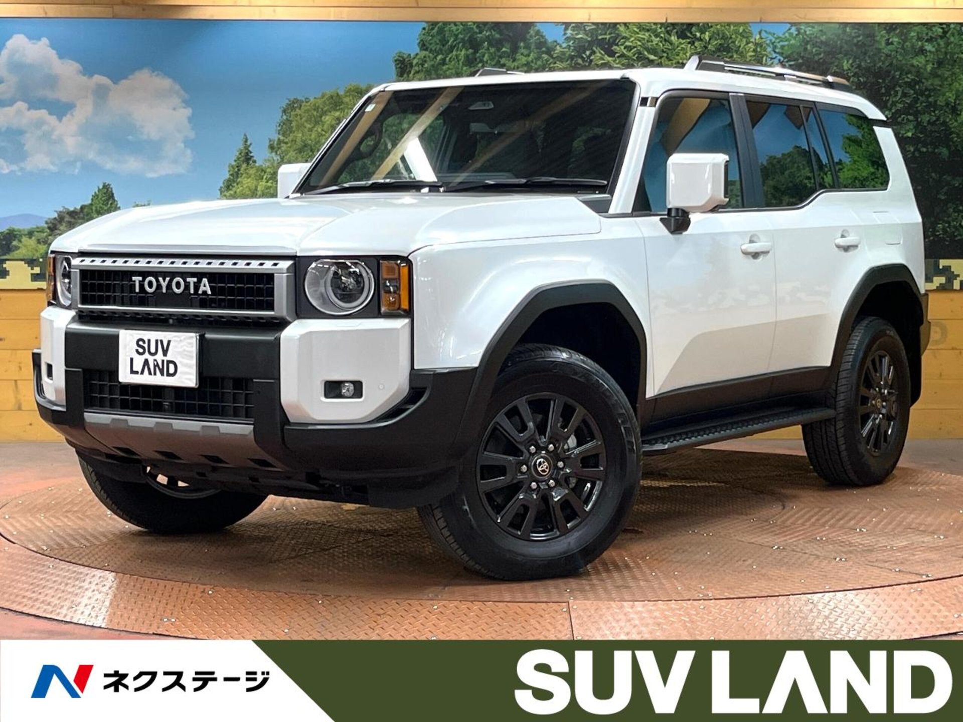 TOYOTA LAND CRUISER 250 - View 1