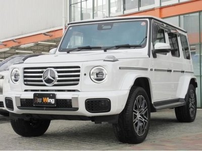 MERCEDES-BENZ G-CLASS - 1