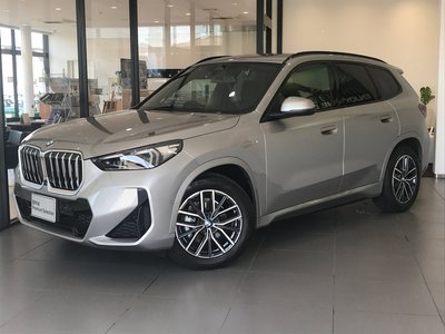 BMW X1 - 1