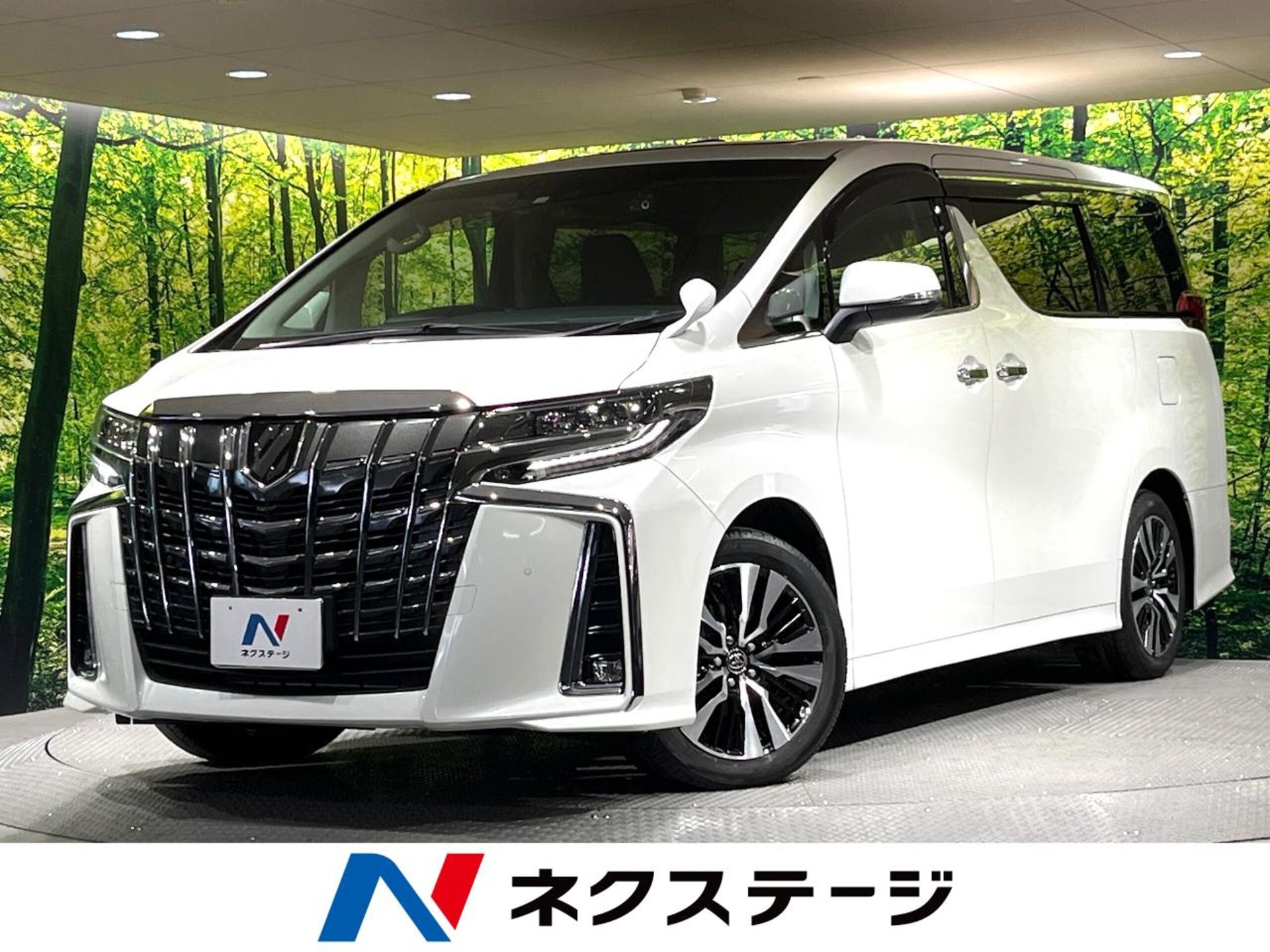 TOYOTA ALPHARD - View 1