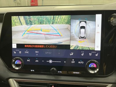 2024 Lexus RX photo 5