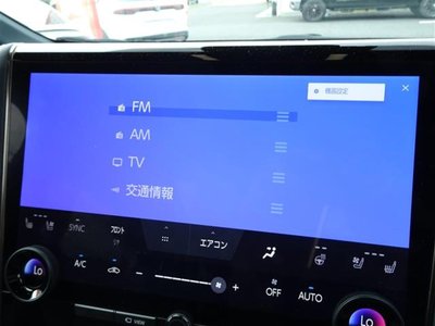 2025 Toyota ALPHARD thumbnail 18