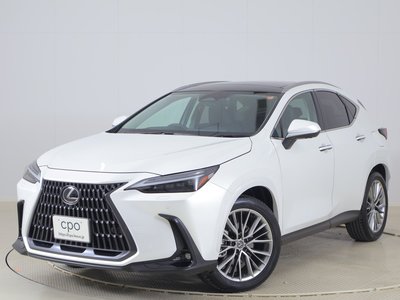LEXUS NX - 1