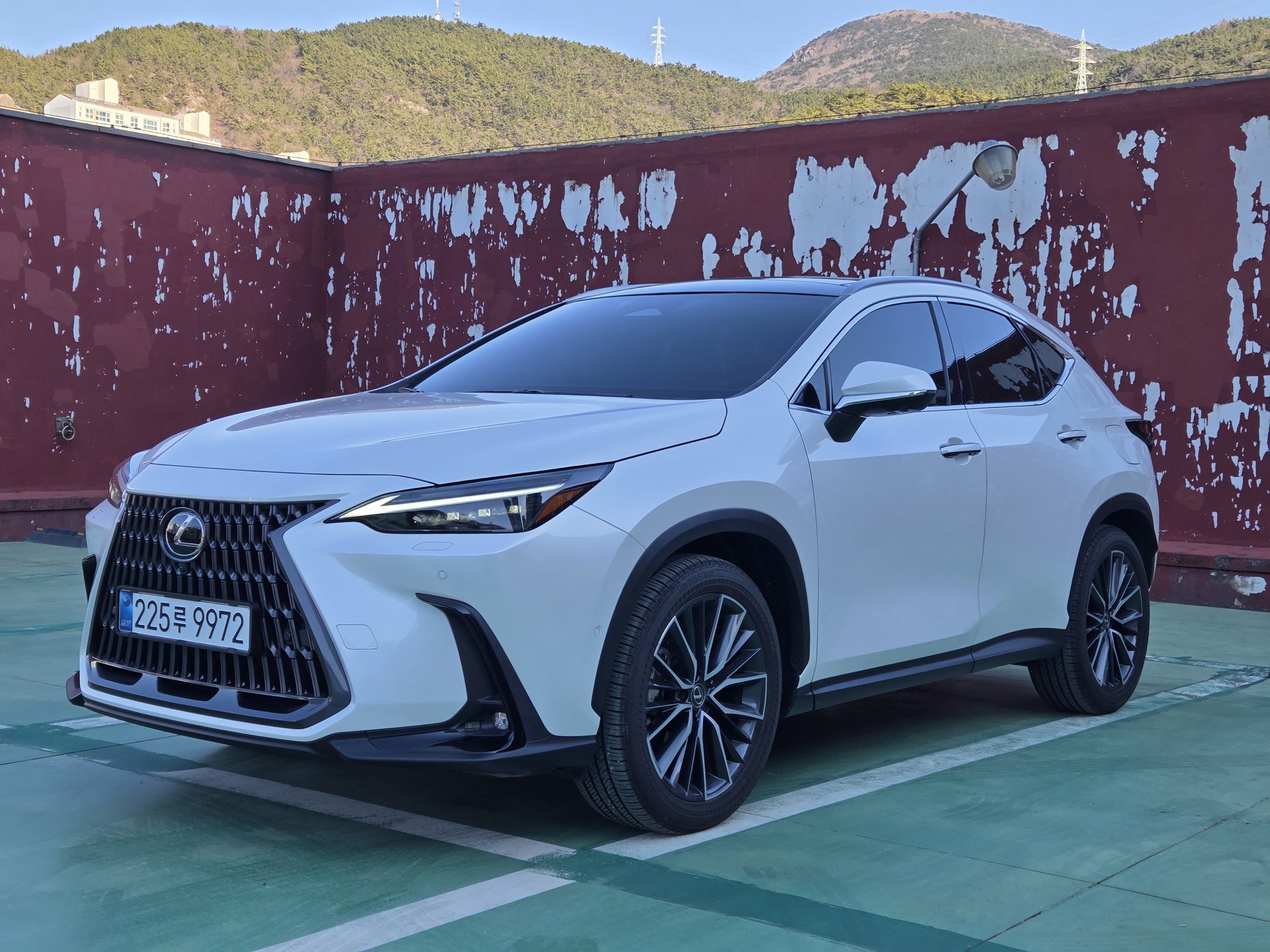 LEXUS NX - View 1