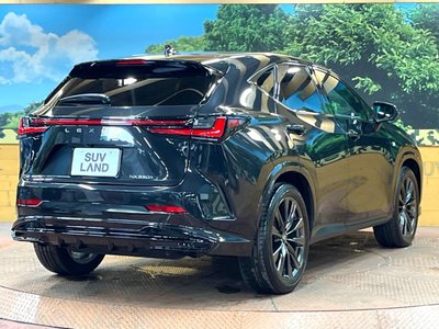 2023 Lexus NX thumbnail 17