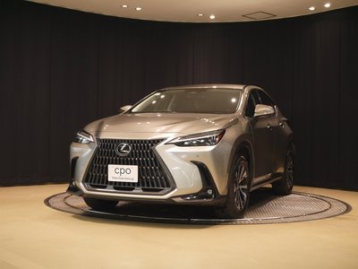 LEXUS NX - 1