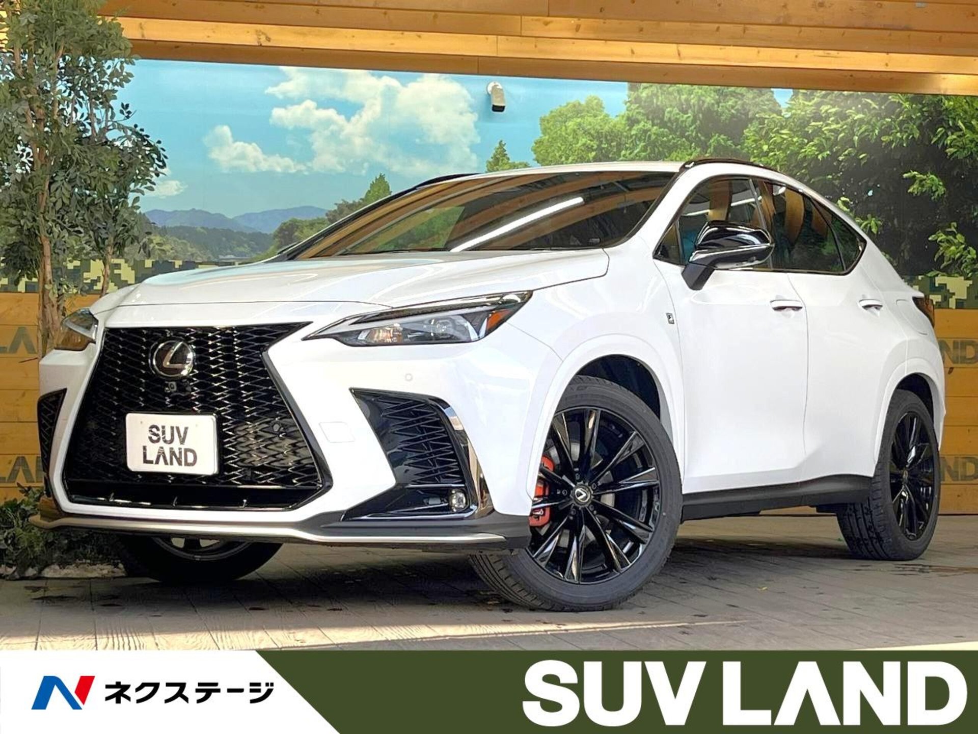 LEXUS NX - View 1