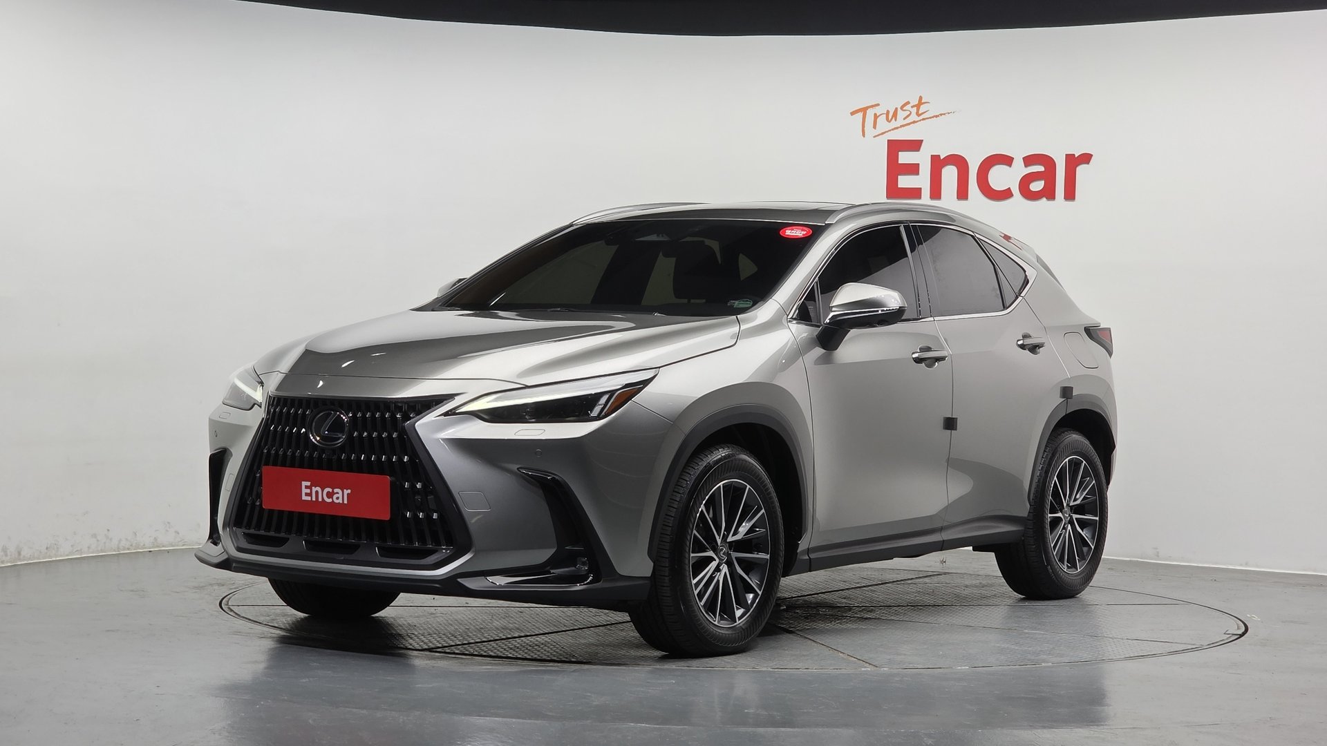 LEXUS NX - View 1