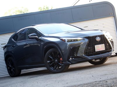 2023 Lexus NX 缩略图 50
