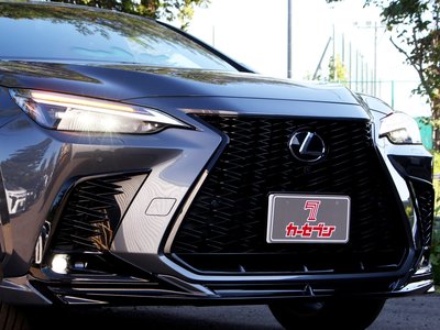 2023 Lexus NX 缩略图 47