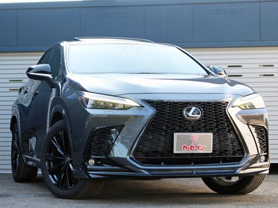2023 Lexus NX 缩略图 4