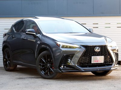 2023 Lexus NX 缩略图 48