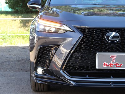2023 Lexus NX 缩略图 32