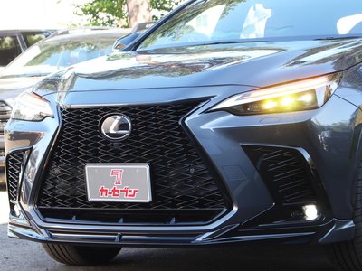 2023 Lexus NX 缩略图 45