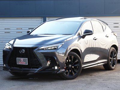2023 Lexus NX 缩略图 49