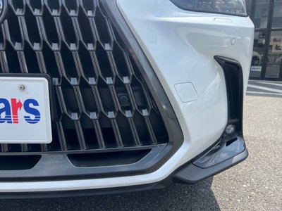 صورة مصغرة 58 لـ 2023 Lexus NX