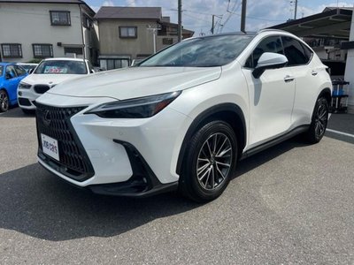 صورة مصغرة 12 لـ 2023 Lexus NX