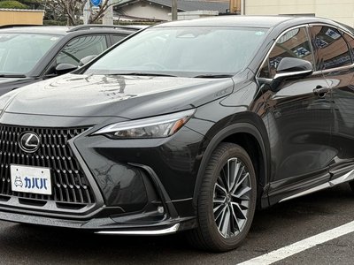LEXUS NX - 1