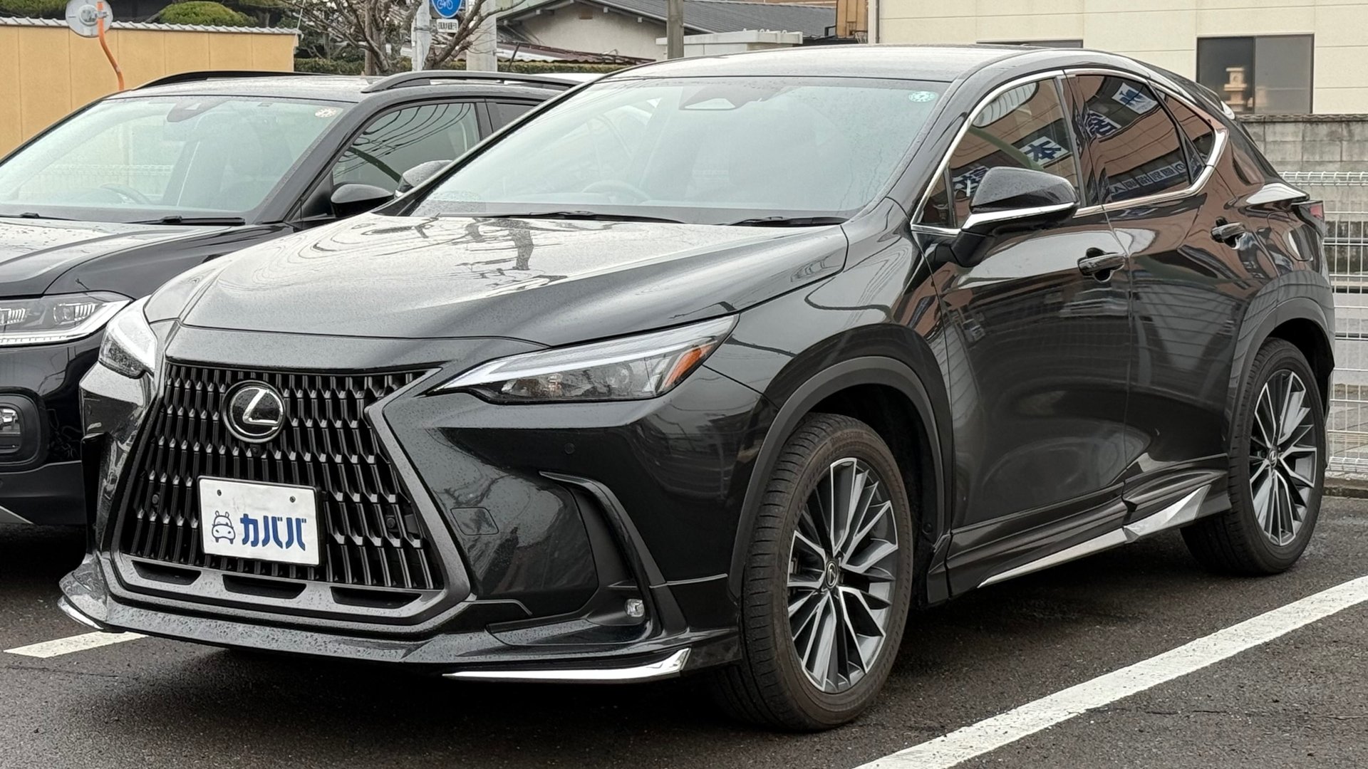 LEXUS NX - View 1