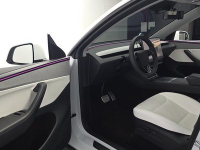 2025 Tesla MODEL Y — миниатюра 13