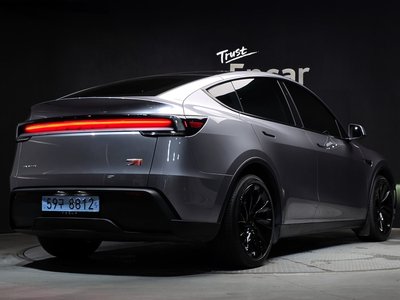 2025 Tesla MODEL Y — фото 4
