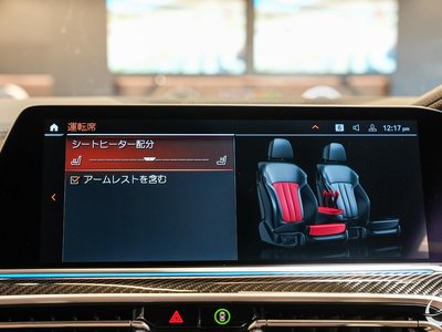 2022 BMW X6 缩略图 52