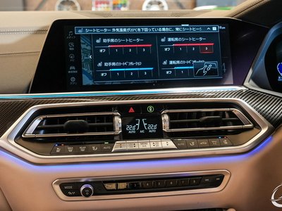 2022 BMW X6 缩略图 95