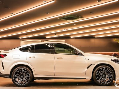 2022 BMW X6 缩略图 114