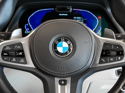 2022 BMW X6 缩略图 100