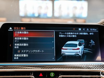 2022 BMW X6 缩略图 89